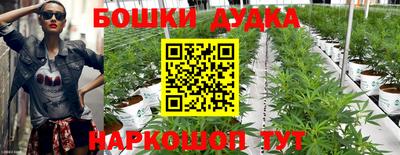 таблы Гай