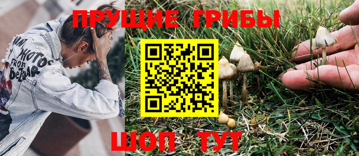 Псилоцибиновые грибы мухоморы Хасавюрт