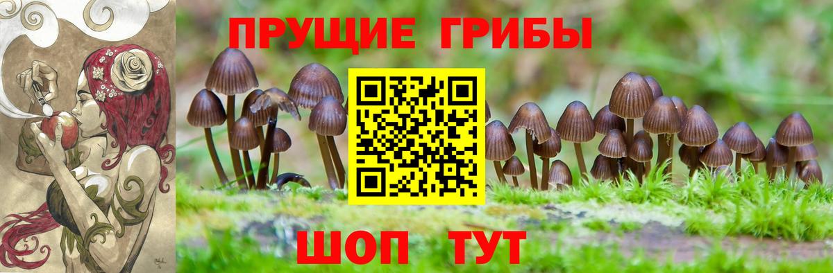 Псилоцибиновые грибы Cubensis  Псилоцибиновые грибы мухоморы  Хасавюрт  Вход с VPN 